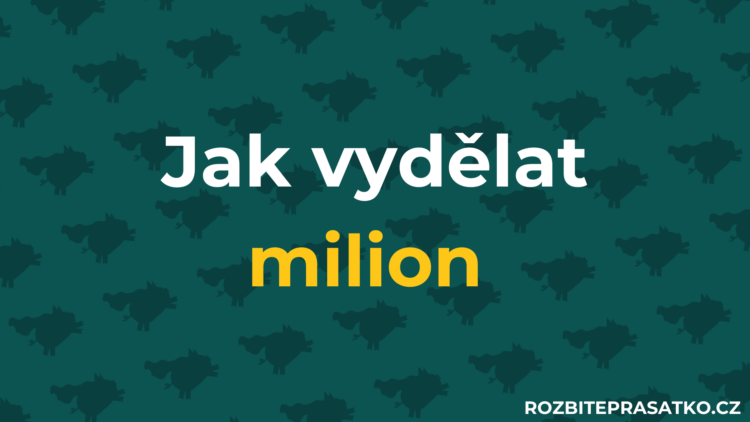jak vydělat milion náhled