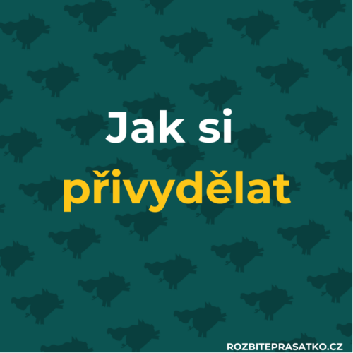 jak si přivydělat