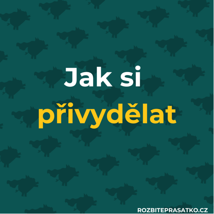 jak si přivydělat