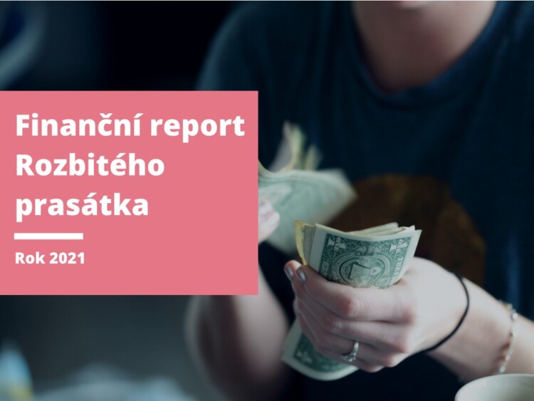 finanční report rok 2021