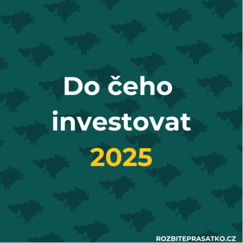 Do čeho investovat 2025