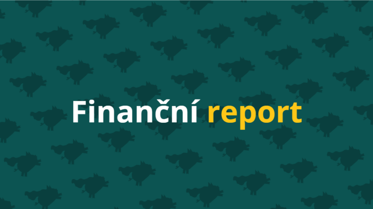 finanční report