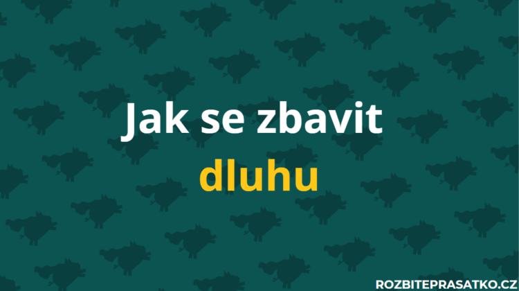 Jak se zbavit dluhu