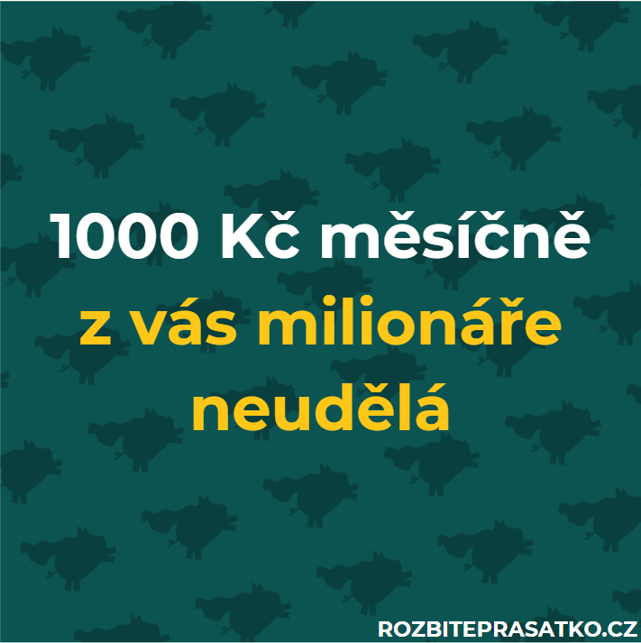 1000 kč z vás milionáře neudělá