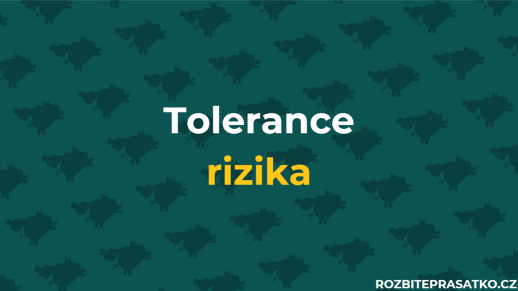 tolerance rizika