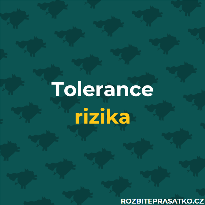 tolerance rizika