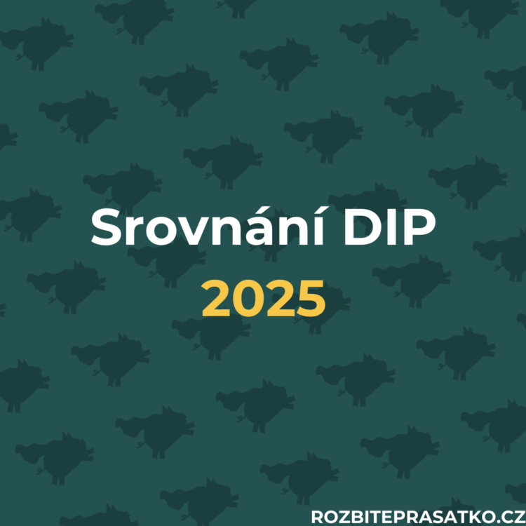 srovnání dip 2025