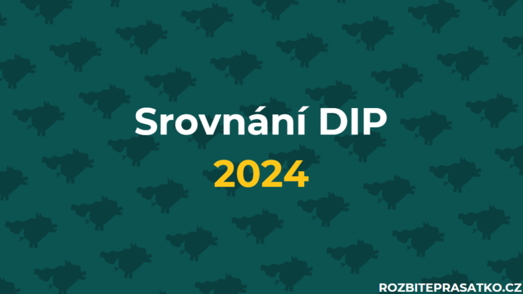 srovnání DIP 2024