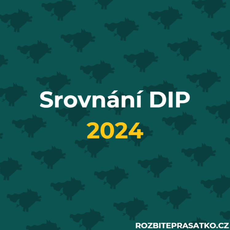 srovnání DIP 2024