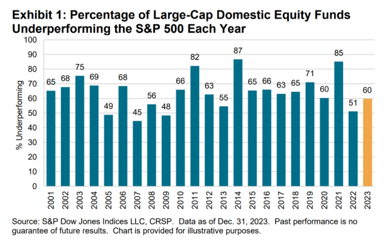 percentage of large-cap domesic equity funds