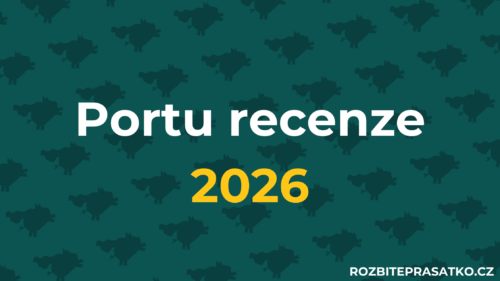 Portu recenze 2026 náhled