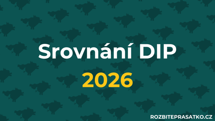 srovnání DIP 2026 náhled