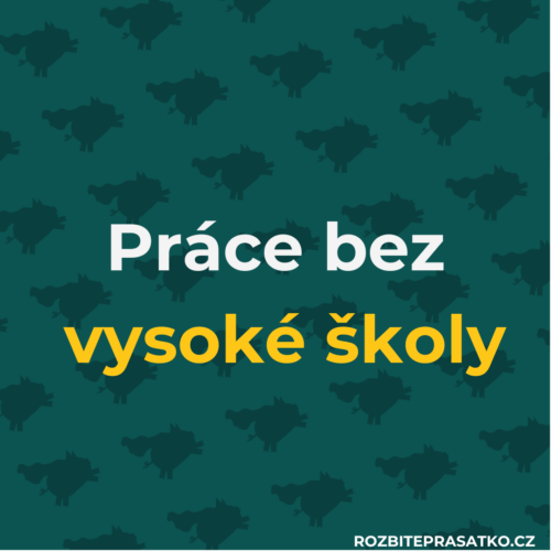 práce bez vš