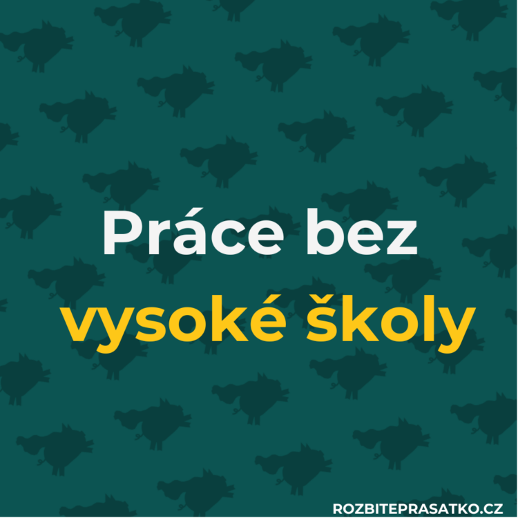 práce bez vš