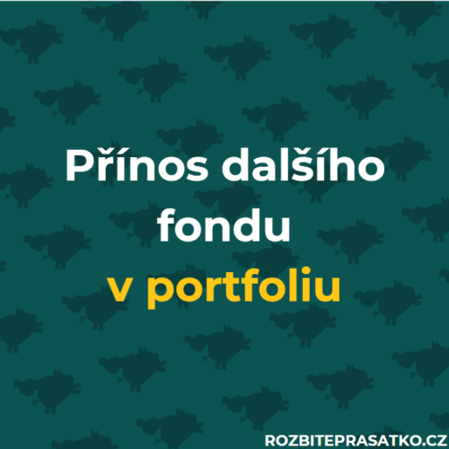 přínos dalšího fondu v portfoliu