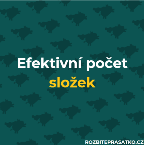 efektivní počet složek