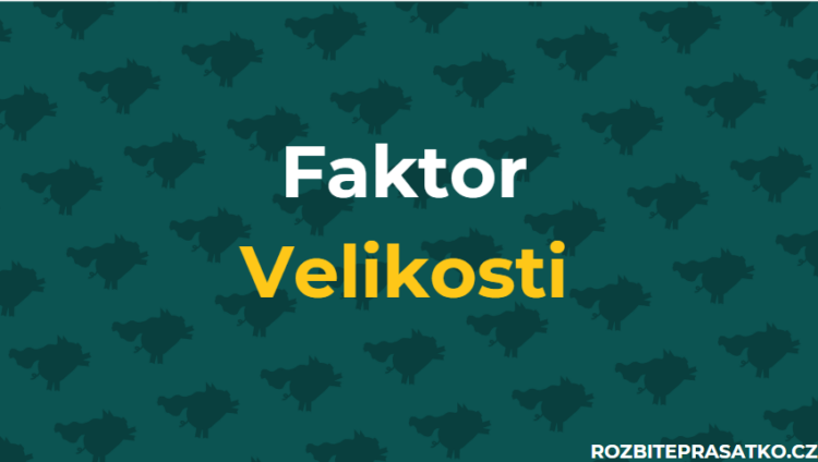 faktor velikosti