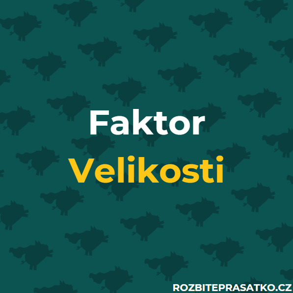 faktor velikosti