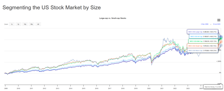 large cap small cap longterm 2008