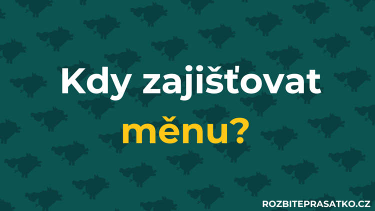 náhledový obrázek