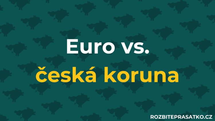 náhledový obrázek euro vs. česká koruna