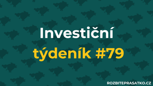 náhled investiční týdeník 79
