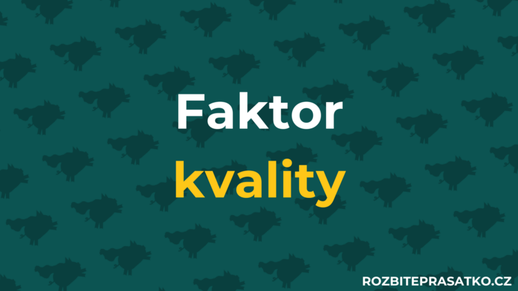 faktor kvality náhledový obrázek