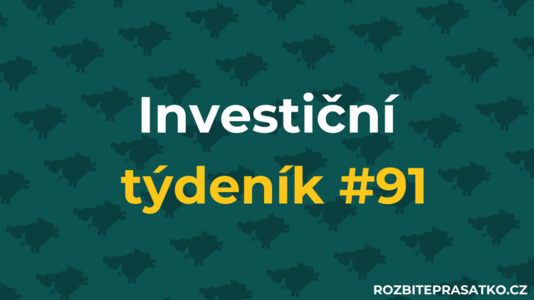 investiční týdeník 91 náhled