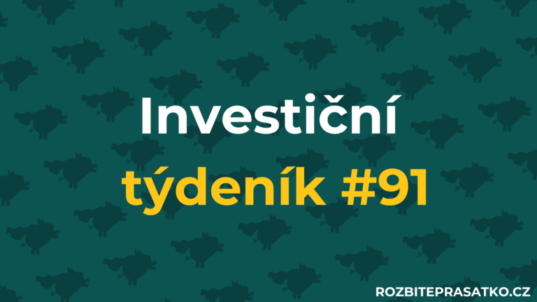investiční týdeník 91 náhled